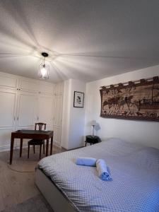 Appartements Appartement spacieux et lumineux : photos des chambres