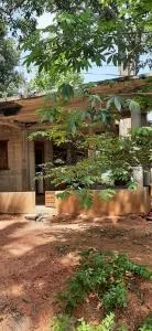 Local Life House - Padeniya