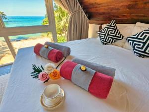 Ocean Half Moon beach Villa