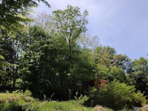 Maisons de vacances chalet sur pilotis en perigord : photos des chambres