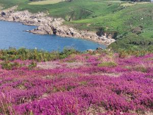 Maisons de vacances Demeure de Kerevel : photos des chambres