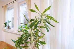 The Hill House Free Parking