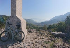 Apartments Insula Insule