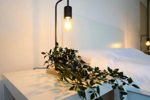 Appartements T2 confortable a Lille Saint Maurice Pellevoisin : photos des chambres