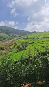 Heritage Farm Kerala
