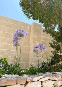 La Corte della Salina - Cozy Apartment