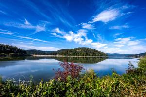 Gästehaus Seewald- Ferienwohnung 4 "Lärche", Schluchsee, Blasiwald