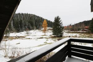Gästehaus Seewald- Ferienwohnung 6 "Fichte", Schluchsee, Blasiwald