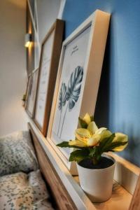 Le Cosy - Petit studio douillet proche de la gare