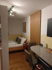 1 Zimmer Appartement nahe Gmunden Top2 - بنسدورف