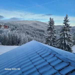 Pamporovo hotel Snezhanka A640