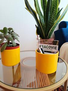 Coco Chanel Cosy 45 m2 city centre fast wifi