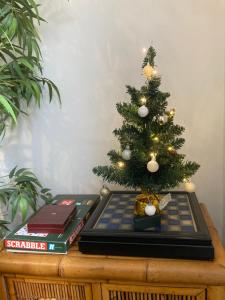 La Loire et ses châteaux avec vos proches