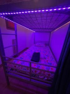 Le refuge des Mimosas