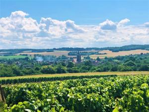 La remise de tatanne
