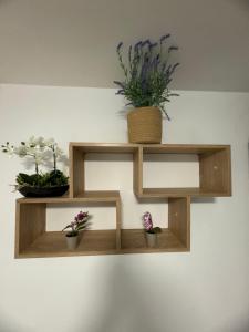 Апартамент за нощувки Възраждане