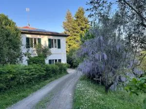 Mens Sana - Casa grande per gruppi nel verde - Tognazza