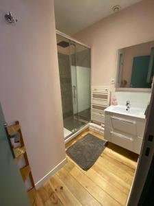 Appart'hotels Ecolodge Appartements 2 pieces cosy gare : photos des chambres