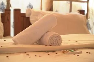 The Thar Majesty Camps & Resort - Sām