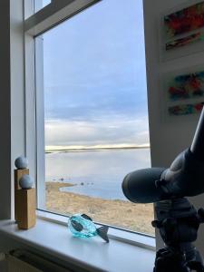 Beautiful and Luxurious Oceanfront Apartment