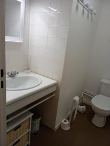 Petit nid douillet , T1 traversant , séjour , balcon ,cuisine indépendante, loggia , au calme, proche centre ville