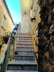 Botton d'oro - Falcinello