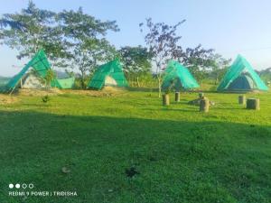 Fesengbor eco camp