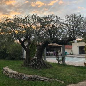 Studio neuf a la campagne a 10 minutes des plages de mediterranée