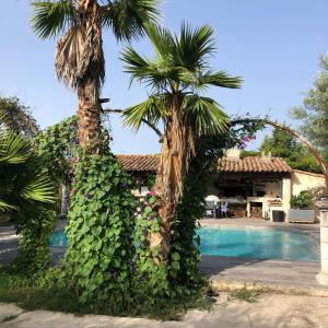 Appartements Studio neuf a la campagne a 10 minutes des plages de mediterranee : photos des chambres