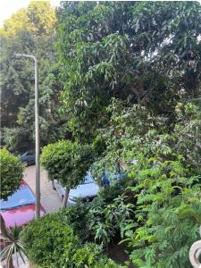 Apartment for rent in Cairo