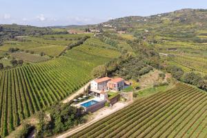 Arcadia wine resort - Adults only