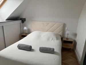 Maisons d'hotes La Demeure De Charme : photos des chambres