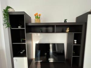 Apartament premium 2 camere Bragadiru