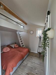 Tiny House De Klyster