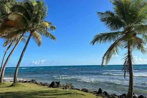 Beachfront Studio Sanctuary - Sabana