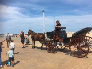 Mooi appartement in centrum Oostende