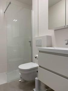 Mooi appartement in centrum Oostende