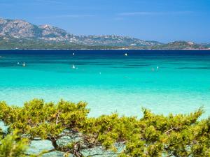 Caletta Nest 108 img3