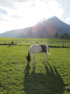 Übernachten in Blockhaus