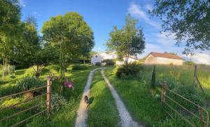 B&B / Chambres d'hotes Les Chantours, Domaine naturel arbore et fleuri de15 hectares : photos des chambres