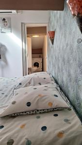 Appartements Vacance et Cure dans Duplex 80 M2 a CERET 66400 : photos des chambres