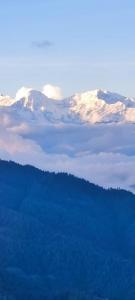 Daman View Tower Resort Pvt Ltd