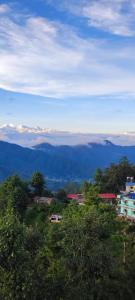 Daman View Tower Resort Pvt Ltd