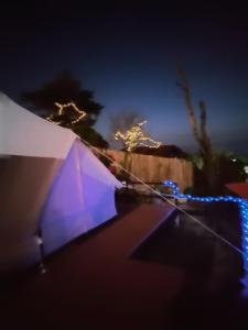 phatang sky view camp ผาตั้งสกายวิวแคมป์