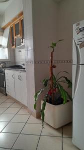 Mardel Excelente semipiso 3 amb 2 bños 5 personas