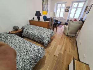 Appartements La cigogne d-Alsace 3 : photos des chambres