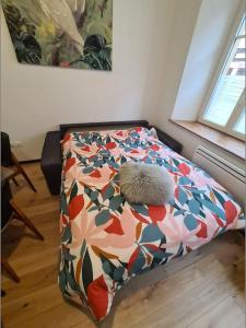 Appartements La cigogne d-Alsace 3 : photos des chambres