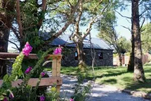 Valentia Island Escape - 凯尔西温