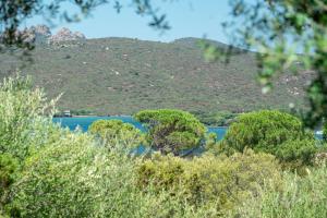 Caletta Nest 88 img31