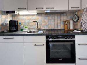 Schwalbenflug 1 Berlin